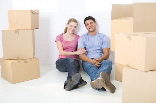 Illustration representing essential cookies and website functionality for Removal Company Pimlico