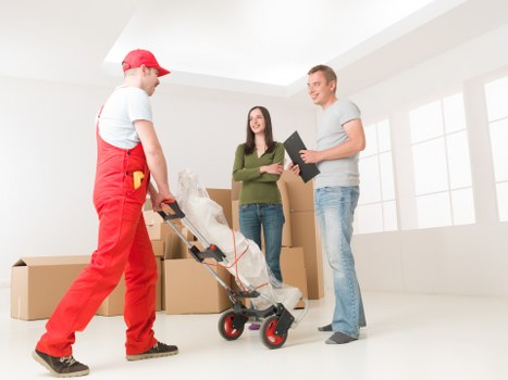 Professional movers handling boxes and furniture in Pimlico